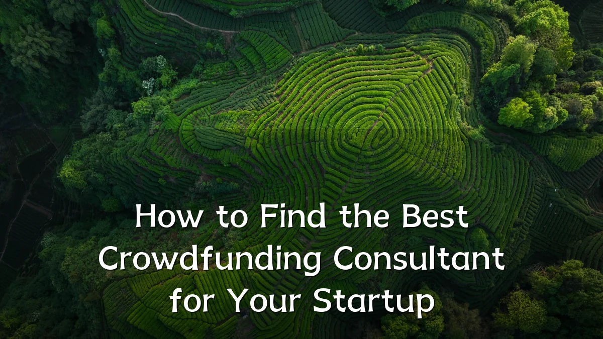 How to Find the Best Crowdfunding Consultant for Your Startup