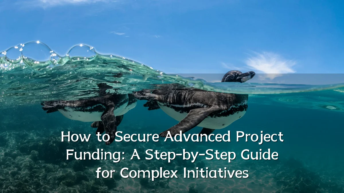 How to Secure Advanced Project Funding: A Step-by-Step Guide for Complex Initiatives