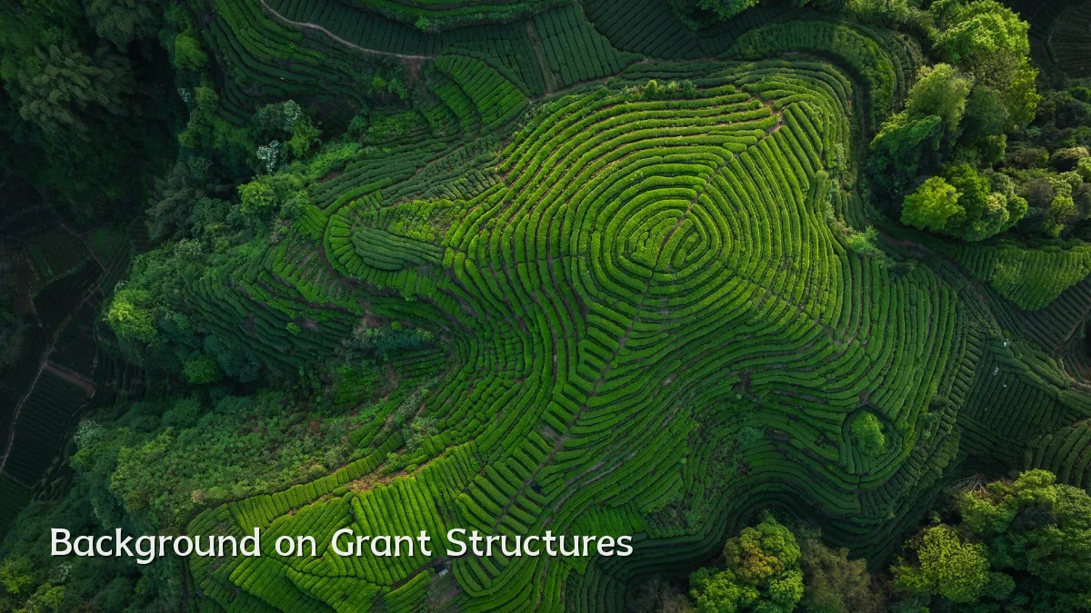 Background on Grant Structures