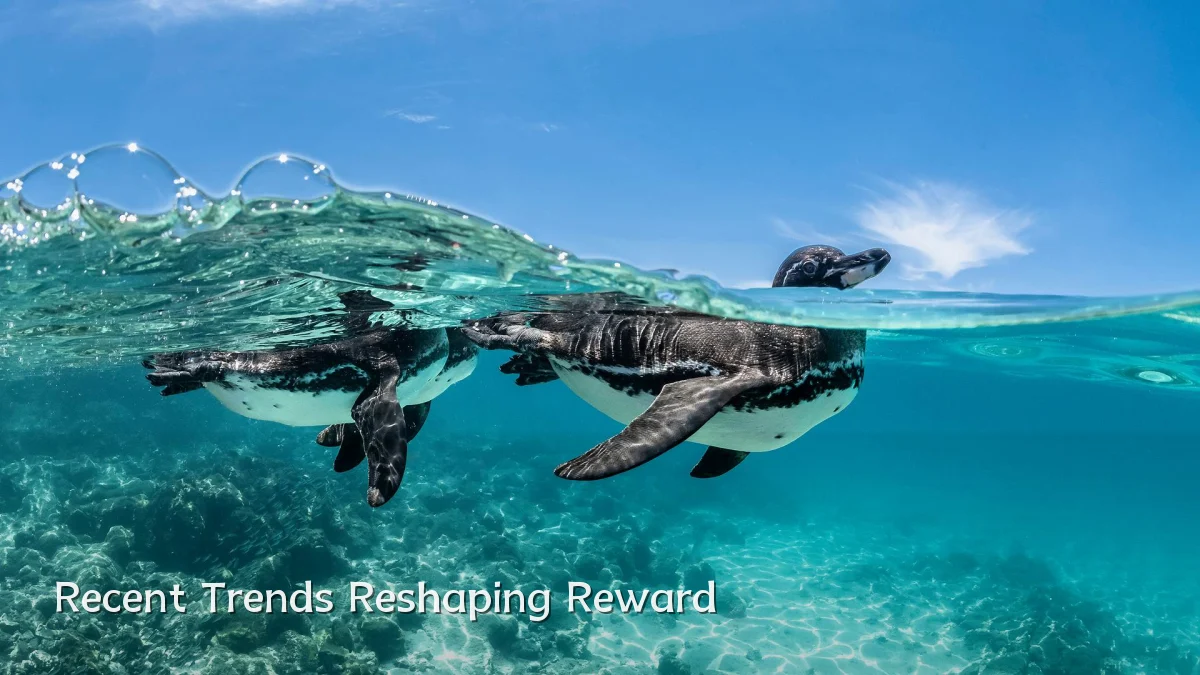Recent Trends Reshaping Reward