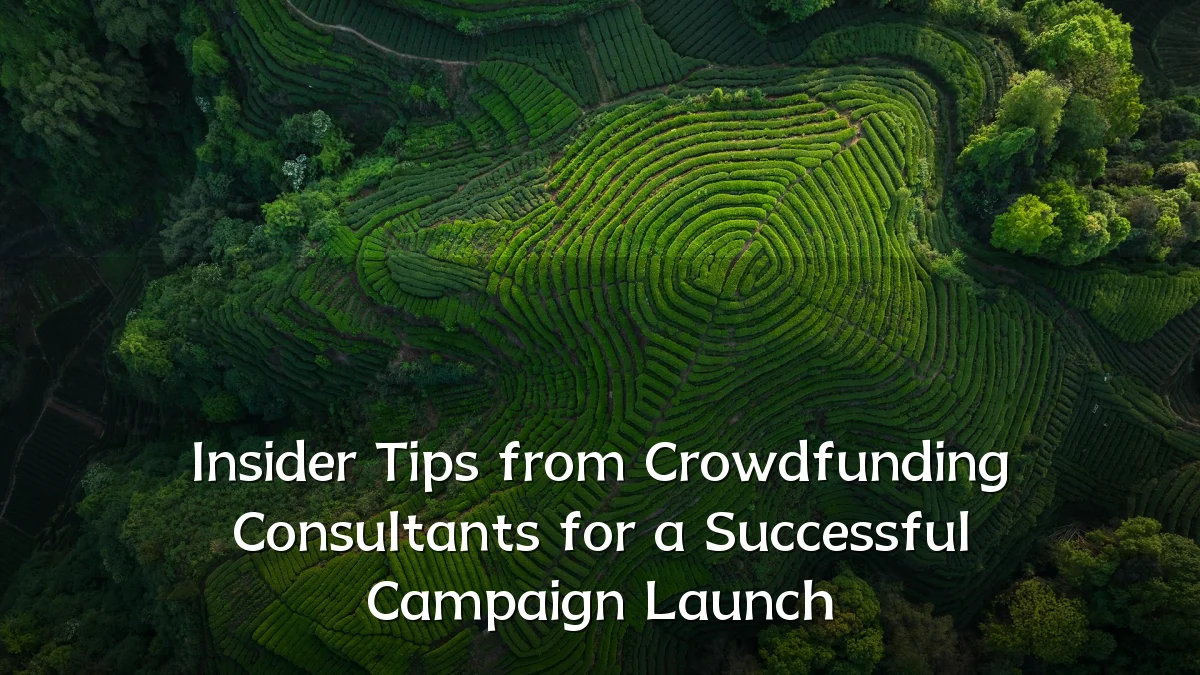 Insider Tips from Crowdfunding Consultants for a Successful Campaign Launch