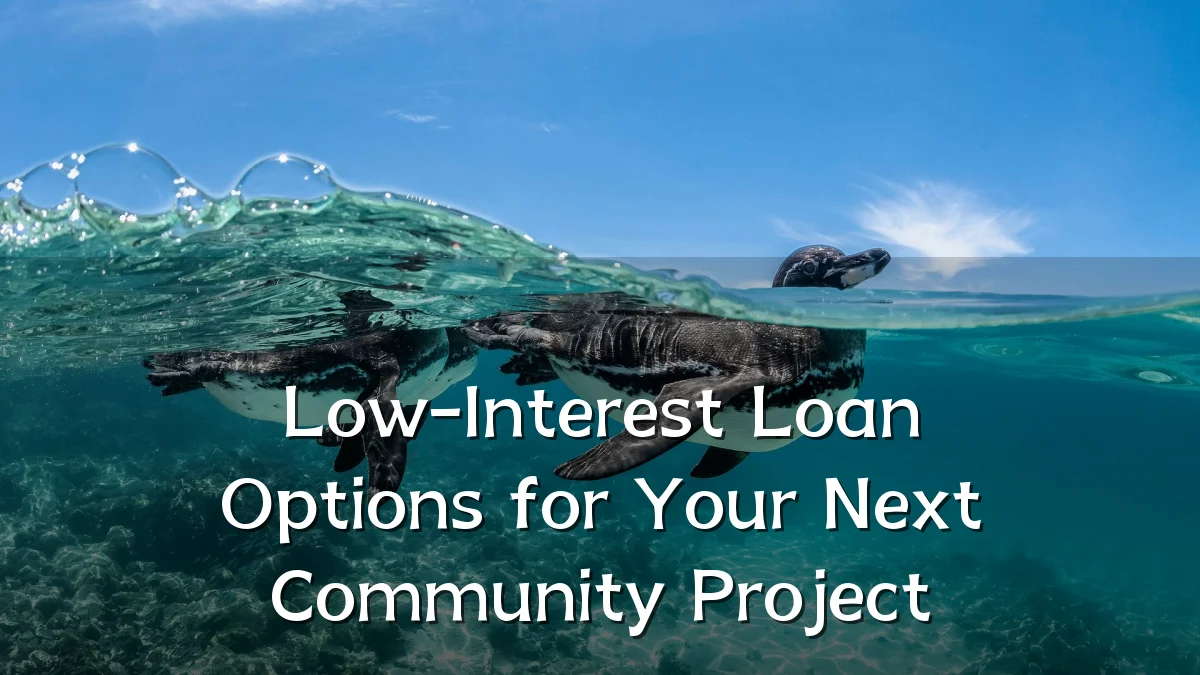 Low-Interest Loan Options for Your Next Community Project
