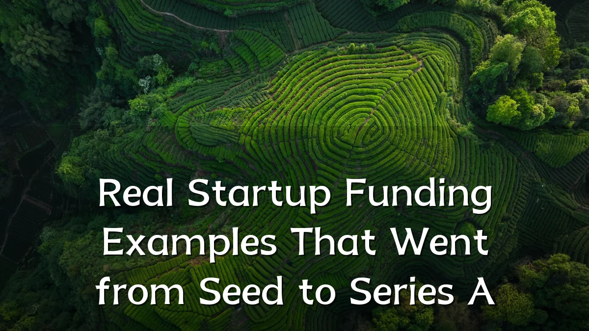 Real Startup Funding Examples That Went from Seed to Series A