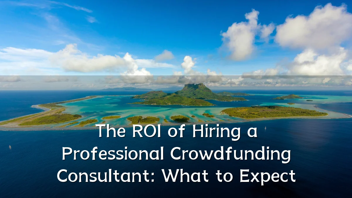 The ROI of Hiring a Professional Crowdfunding Consultant: What to Expect