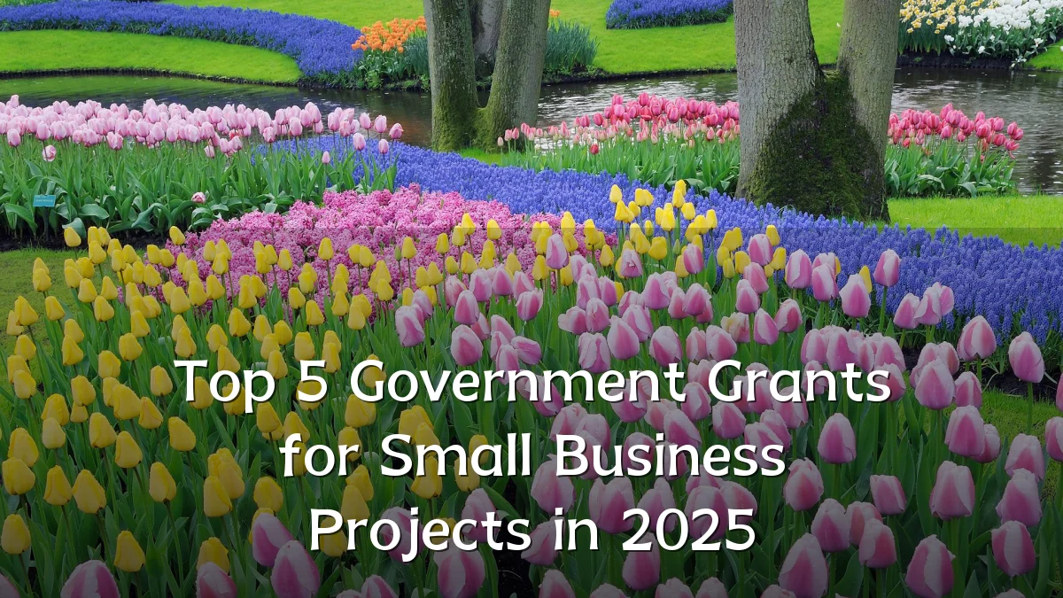 Top 5 Government Grants for Small Business Projects in 2025