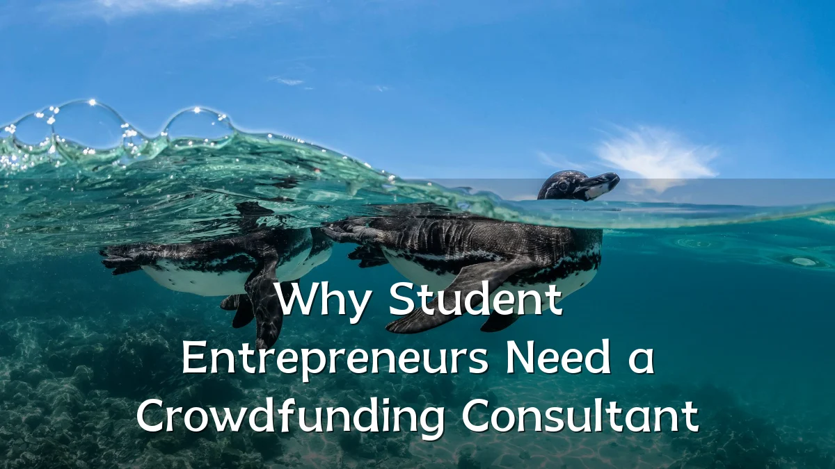 Why Student Entrepreneurs Need a Crowdfunding Consultant