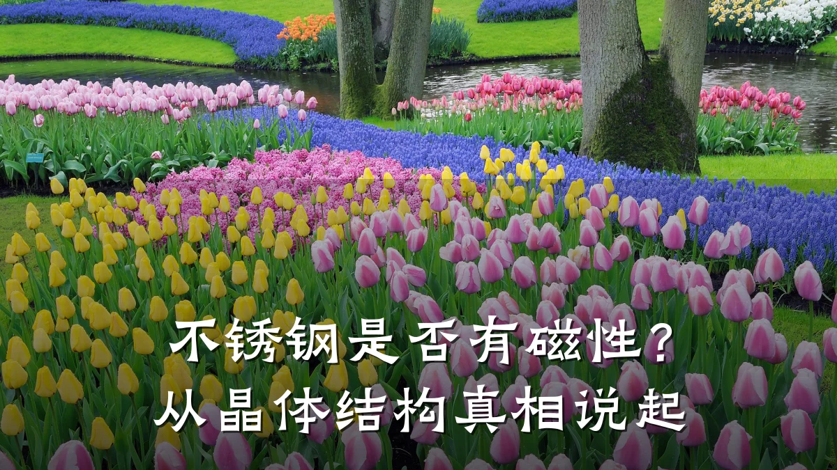 不锈钢是否有磁性?从晶体结构真相说起